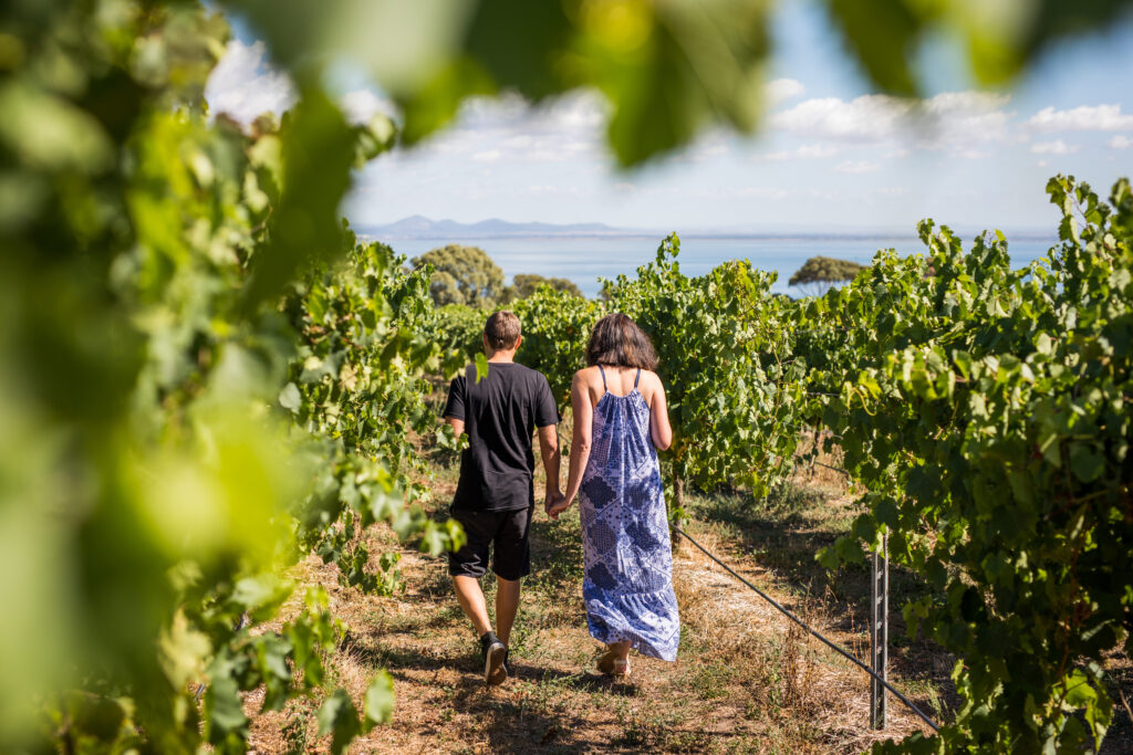 Geelong And The Bellarine Peninsula Image