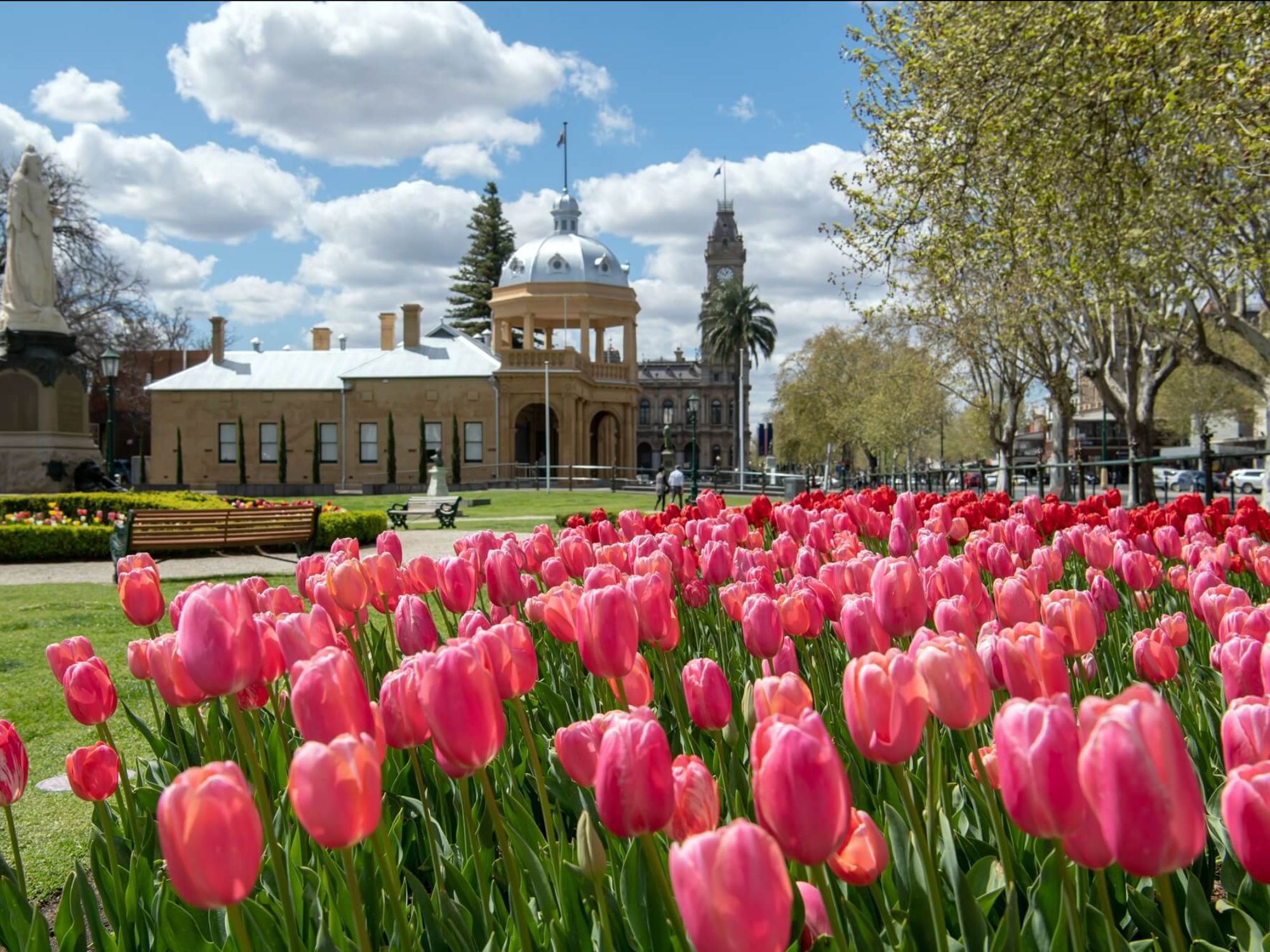 Enthusiast’s Guide to Two Spectacular Tulip Tours in Australia