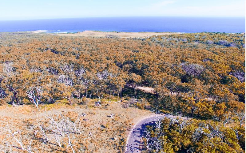 Great Otway National Park